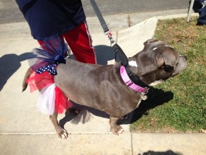 Love this little lady's tutu!