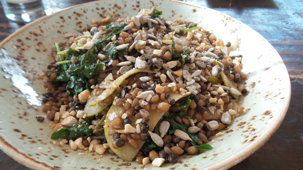 Warm Wheatberries & Lentils, apples, toasted sunflower seeds & cashews
